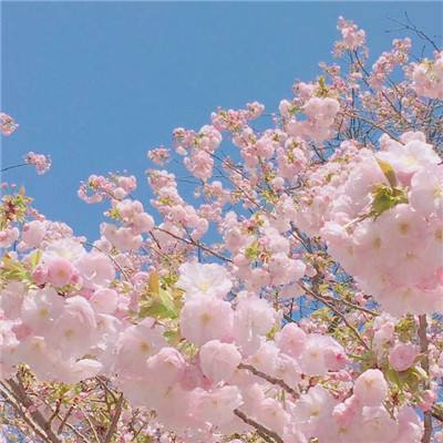 西游网龙之女神手游(暂未上线)v1.1.1 安卓版