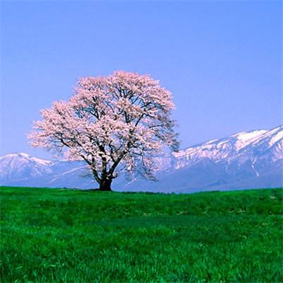 六扇门风云折相思无限元宝版下载